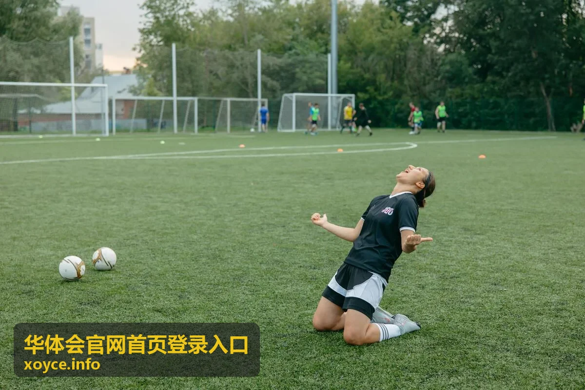 华体会官网首页登录入口首页